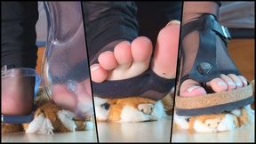 Plushie Trampled under Sandals and Bare Feet - Transparent Sandals, Birkenstocks and Toeless Socks - Crushing, trampling and walking all over Plushie - Femboy Feet, Soles and Toes - [1080p] copy