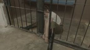 Stuck in prison - mp4 1080p