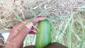 Anal fucking with a thick cucumber.