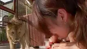 Fierce Lion's Lair: Wild Encounter with Bold Beauties Unleashed