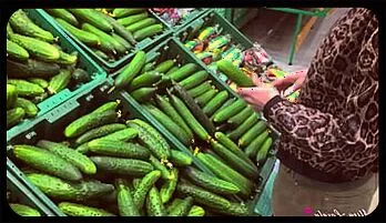 Kinky Plant Dildo Play with Emily Willis - POV Members favorite