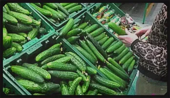 Kinky Plant Dildo Play with Emily Willis - POV