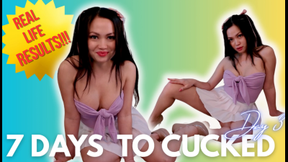 7 Days to Cucked Day 3