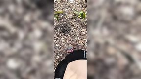 Domina licks his shaft until he erupts