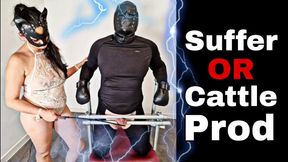 Suffer or Cattle Prod