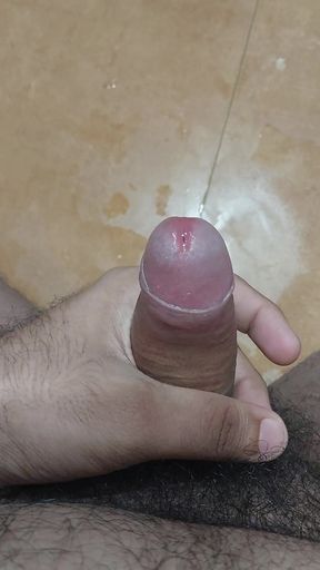 Horny Cock needs some fun
