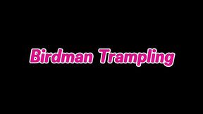 Birdman Trampling
