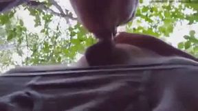 Daddy Bear Sucks in the Park