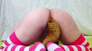 10 minutes of Femboy Fox Teasing you to BREED