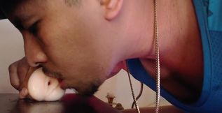 I Like This Toy Uff It Makes Me Very Hot Do You Want to Be the Substitute for the Toy