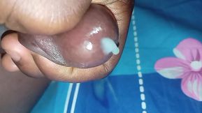 Biggest Africa black cucumber