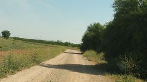 Walk in the countryside