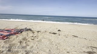234 Cheating Chinese MILF fucked by huge BBC on beach OnlyFans @ appleliu-76