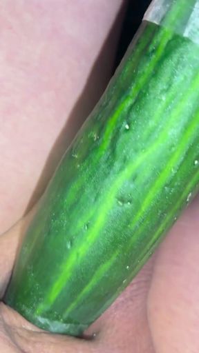 Shaved  inverted cock meets cucumber   Clip 1
