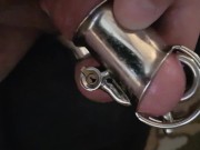 Cock in Chastity device