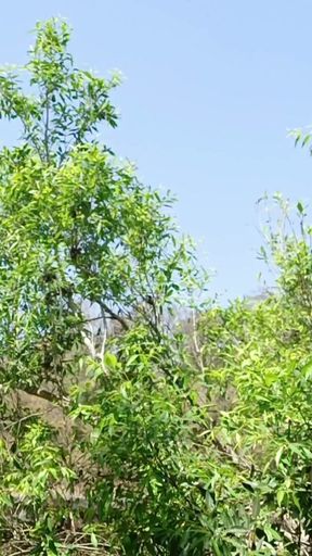 Big cock jordiweek fucking hardcore in outdoor place - river me khuleaam  sex ke moje liye   Clip 2