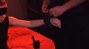 three Schwaenze fuer Zuchtstute Zora