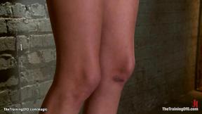 ”Trainer making perfect whore in dungeon”