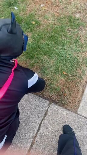 Walking my new puppy 😈