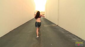gianna michaels in interracial sex with a big black cock
