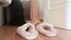 Who did this to my slippers? WMV (1920x1080) FHD
