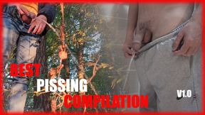 Public peeing compilation - XXL Manstick and balls, uncut