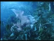 Asian Chinese Sex - KUNG FU style crazy fucking weird funny
