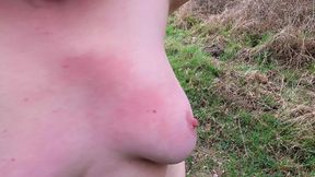 Next to the Hunting Stand the Tits