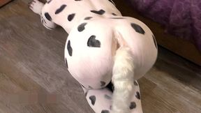 cool body art in the form of a dalmatian and great sex from a beauty