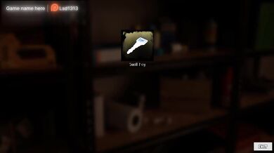 A big dildo turned her on and she rode it with her wet pussy while no one was home