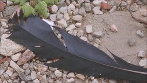 Masturbation, Fingering, Dildo Sucking &amp; Naked Showers This Halloween 25 Cum Inside