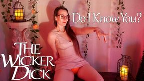 Do I Know You? (4K) - Obey Lady Ashley - The Wicker Dick - Sensual Humiliation Upskirt Panty Fetish