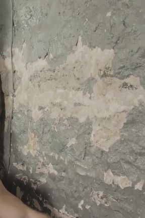 MASQULIN Hunks Alex Mecum and Markus Kage bareback hardcore