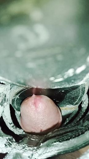 BEAUTIFUL SNEAKERS BY BERENICE T