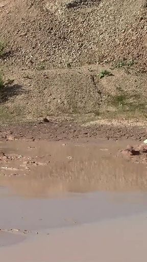 A Great Mud Adventure
