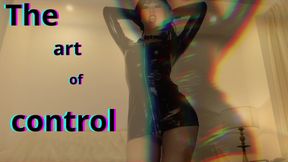 THE ART OF CONTROL