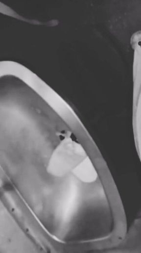 I Took My Fellow Traveler Bhabhi, Whom I Met During My Journey, to the Train Bathroom and Then to the Hotel and Made Her Eat It.