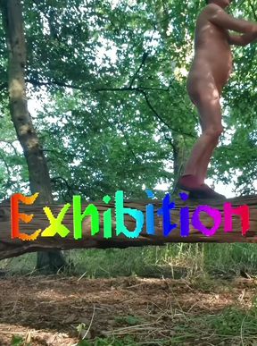 Nude on the Internet