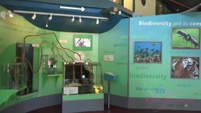 Horny Porn Clip Big Tits Try To Watch For Only Here With Blair Summers