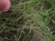 Ballbusting
