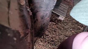 Real Red Slapped Tits in the Barn