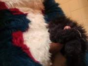Short Fursuit Jackoff