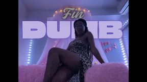 FinDUMB