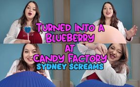 Turned Into a Blueberry at Candy Factory