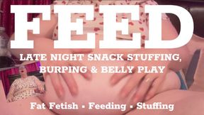 FEED Late Night Snack Stuffing, Burping & Belly Play