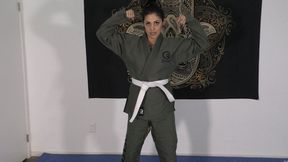 MJ'S POV KARATE BEATDOWN