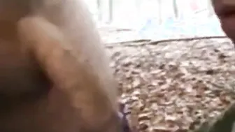 Amateur bear daddy gives outdoor blowjob to horny tutor