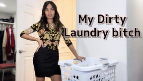 My Dirty Laundry Bitch