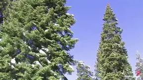 Tahoe: Exiled To Dick Mountain Pt 1 - Horny Cabin Girl Joins Alt-Skiing session