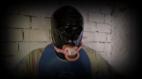 Soumis Rex à l'épreuve – Blind Test Petit Pot & Impact !